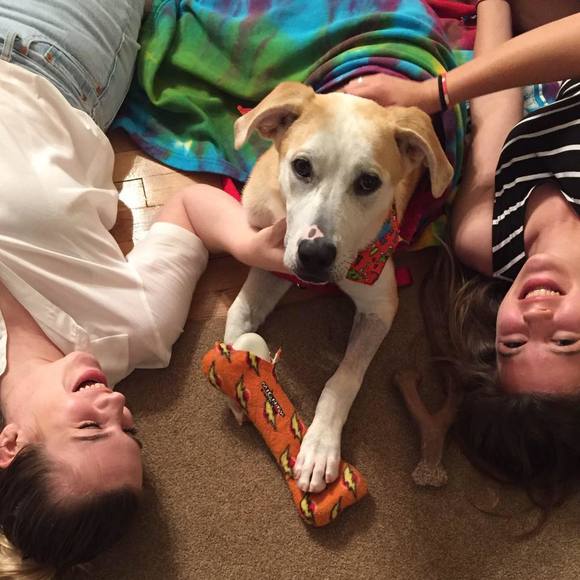 Meet your Posher, Laura - Picture 1 of 1